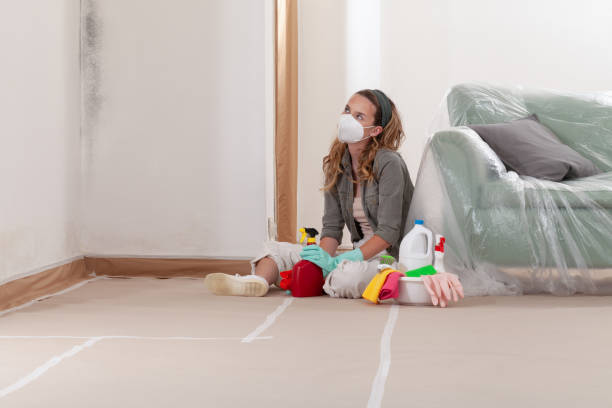 Reliable Mold Remediation contractor in Petersburg, IL by Mold Remediation HQ